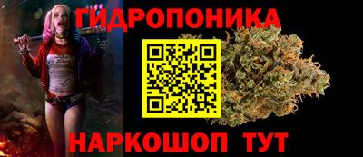 apvp Дубна