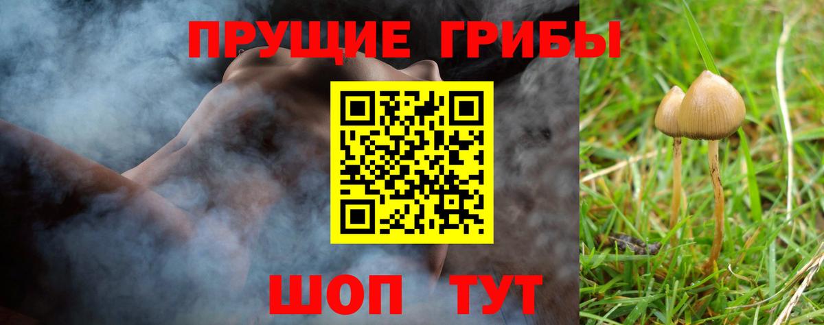 Надым  продажа наркотиков  Вход с VPN  Галлюциногенные грибы Magic Shrooms 