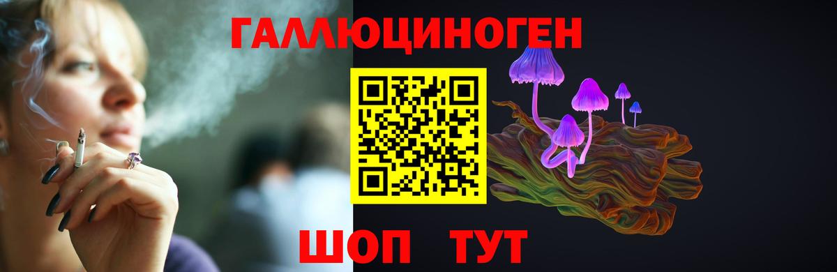 Галлюциногенные грибы Cubensis Надым