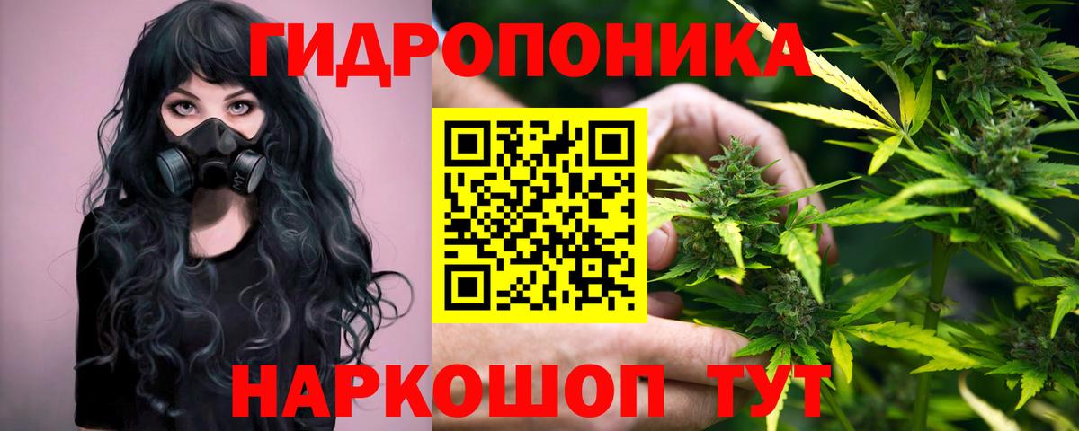 Бошки марихуана AK-47  Марихуана планчик  Бошки марихуана семена  Вход с VPN  Надым 
